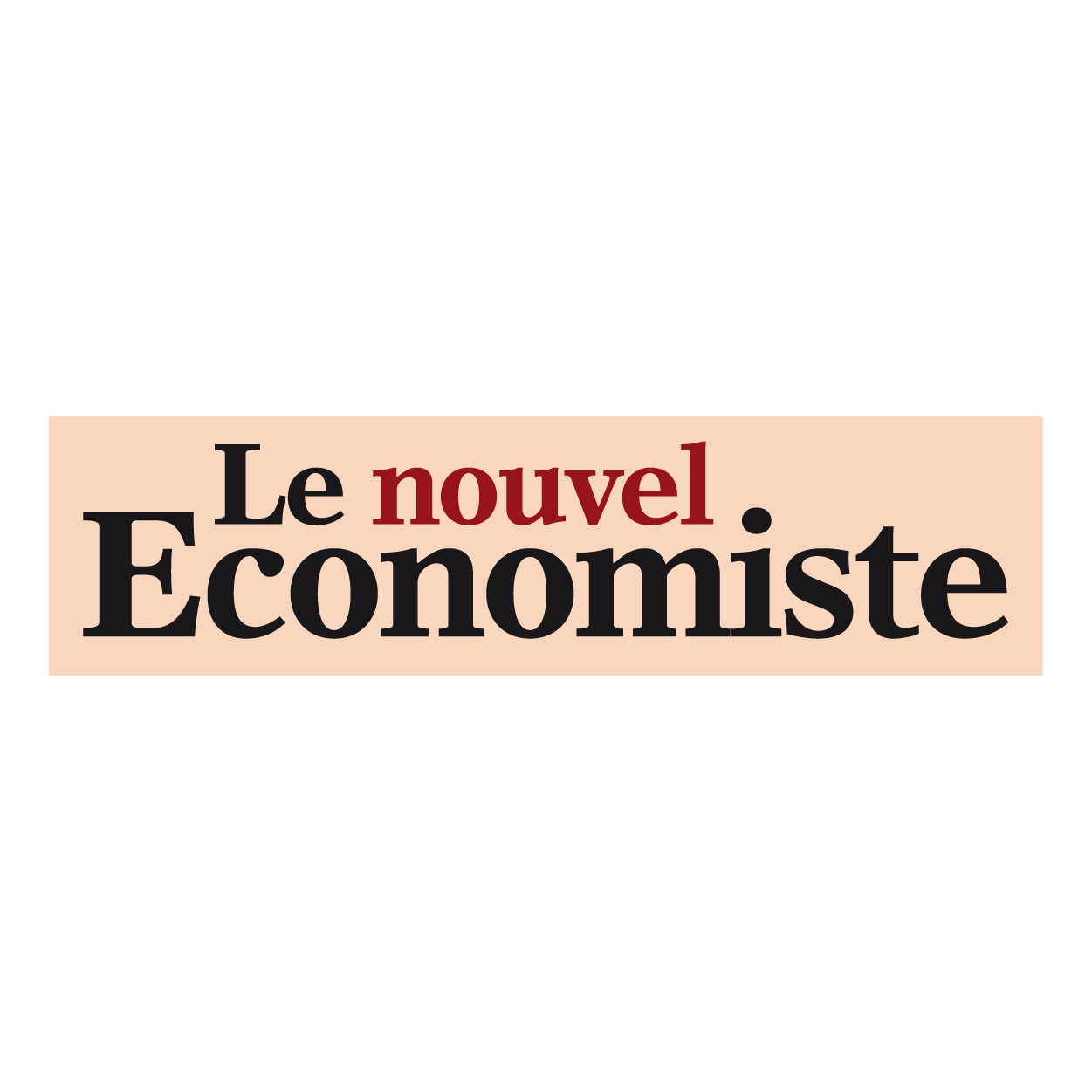 logo-Le Nouvel Economiste